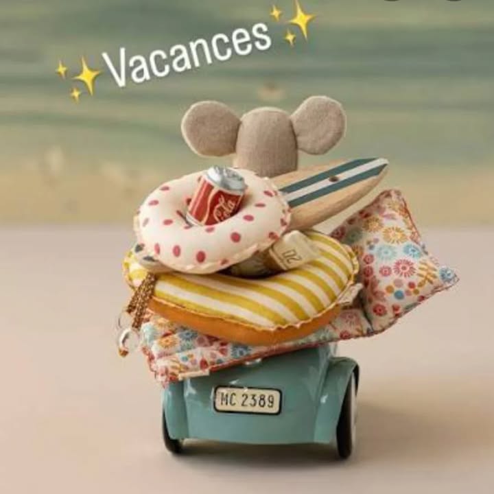 La boutique ferme ce soir pour quelques jours de vacances 1 122162158574773078 - Concarneau