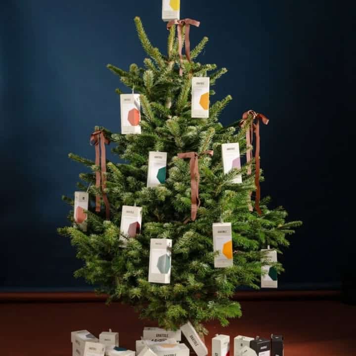 Anatole le parapluie leger et compact qui se glisse 1 122169848858773078 - Concarneau Anatole le parapluie leger et compact qui se glisse 1 122169848858773078 - Concarneau