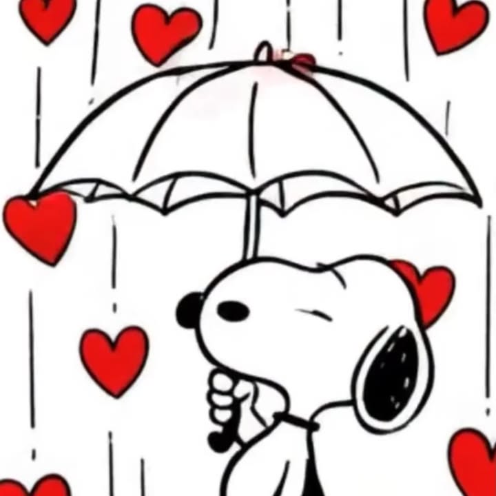 La meteo ne nous gate pas depuis quelques semaines 1 122175485942773078 - Concarneau La meteo ne nous gate pas depuis quelques semaines 1 122175485942773078 - Concarneau