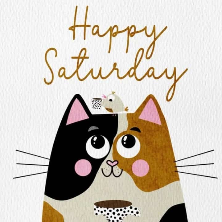 Informations du jour 1 122184053450773078 - Concarneau Informations du jour 1 122184053450773078 - Concarneau