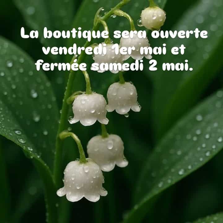 Nouvelle actualite 1 122188614218773078 - Concarneau Nouvelle actualite 1 122188614218773078 - Concarneau