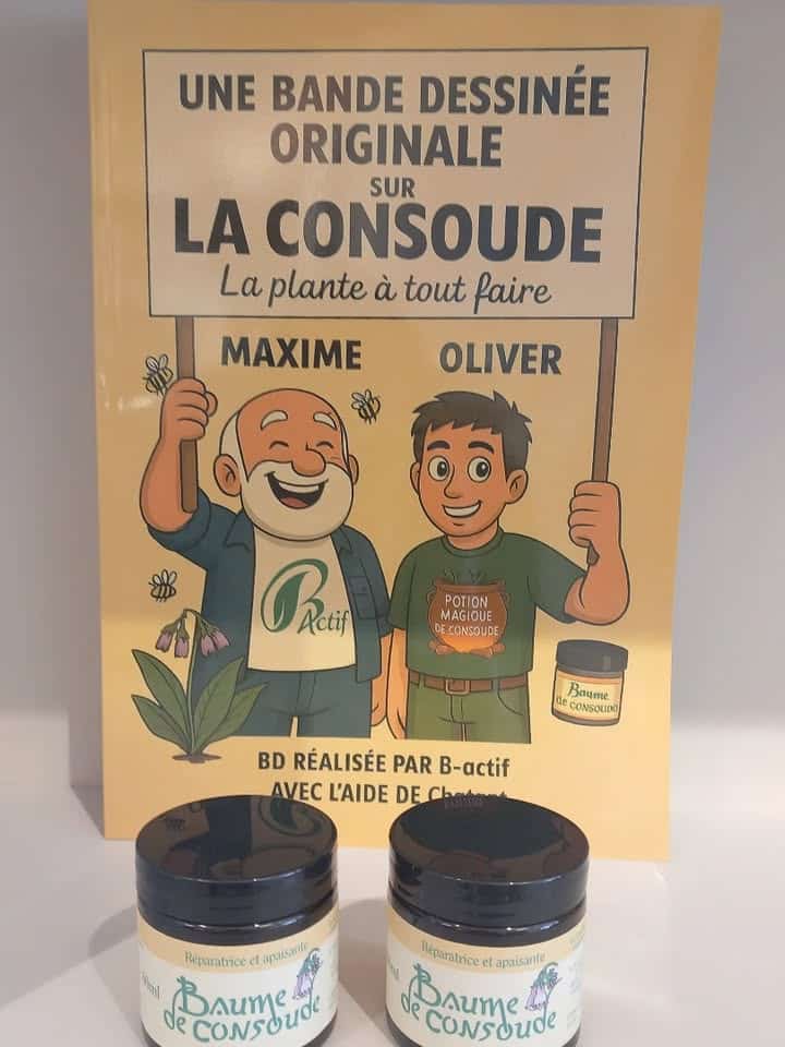 Connaissez vous la consoude 1 122189793704773078 - Concarneau Connaissez vous la consoude 1 122189793704773078 - Concarneau